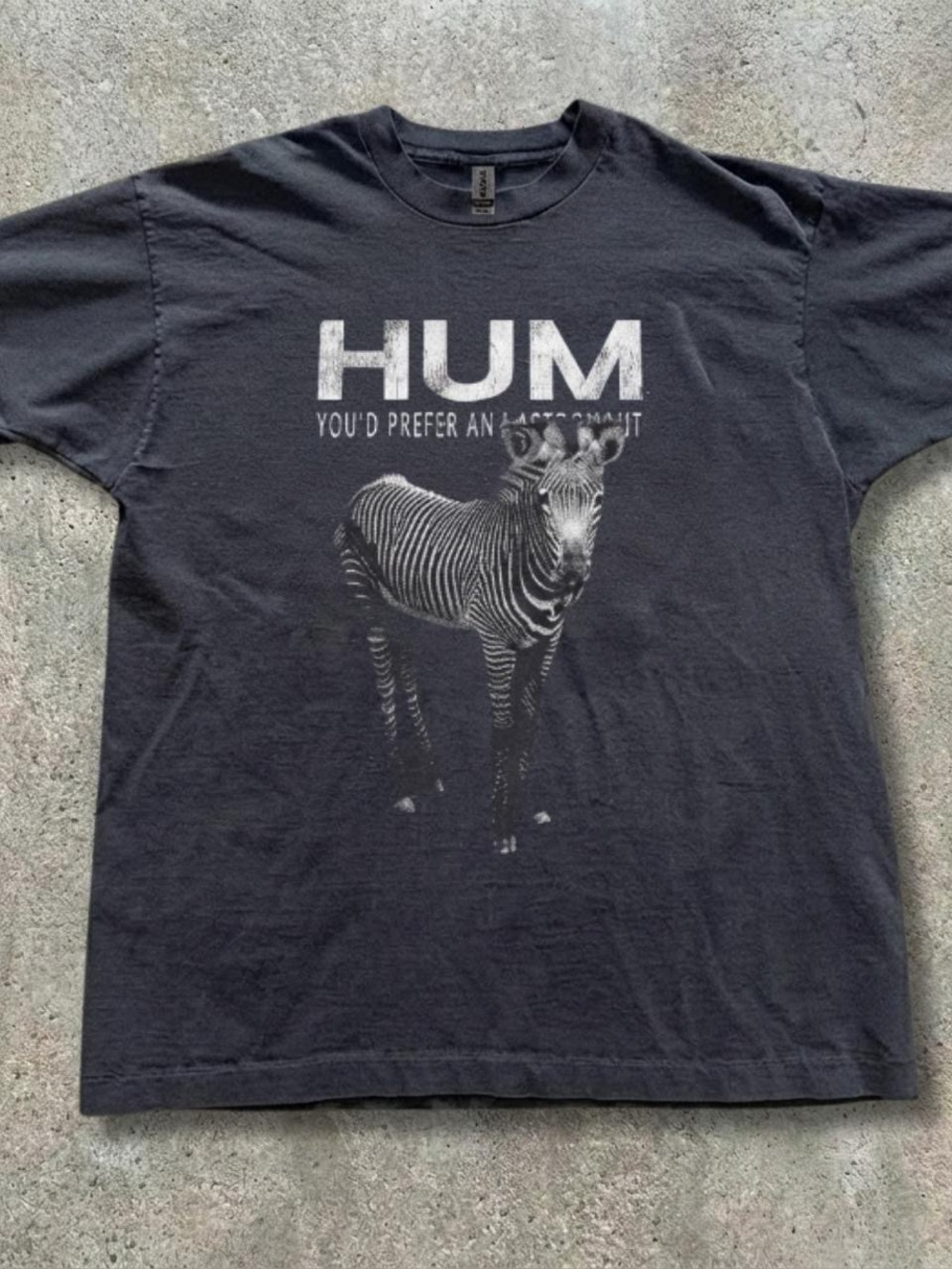 Gildan Black HUM Zebra Graphic Crewneck T-Shirt